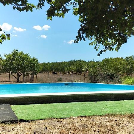 Villa Rod Ranch Livestock - Stanza Doppia Con Letti Singoli Campagnano Di Roma Exterior foto