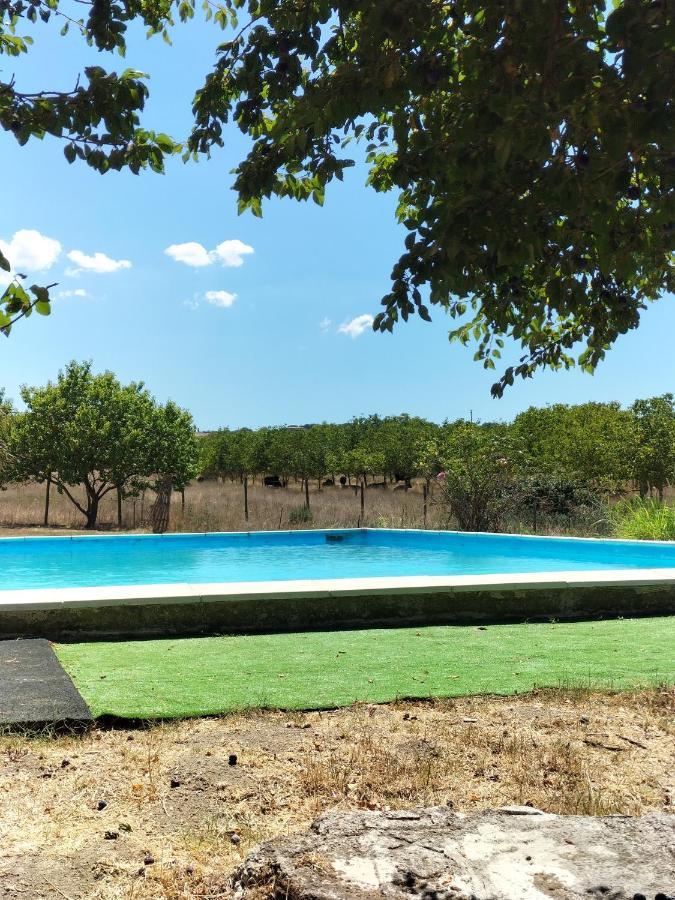 Villa Rod Ranch Livestock - Stanza Doppia Con Letti Singoli Campagnano Di Roma Exterior foto